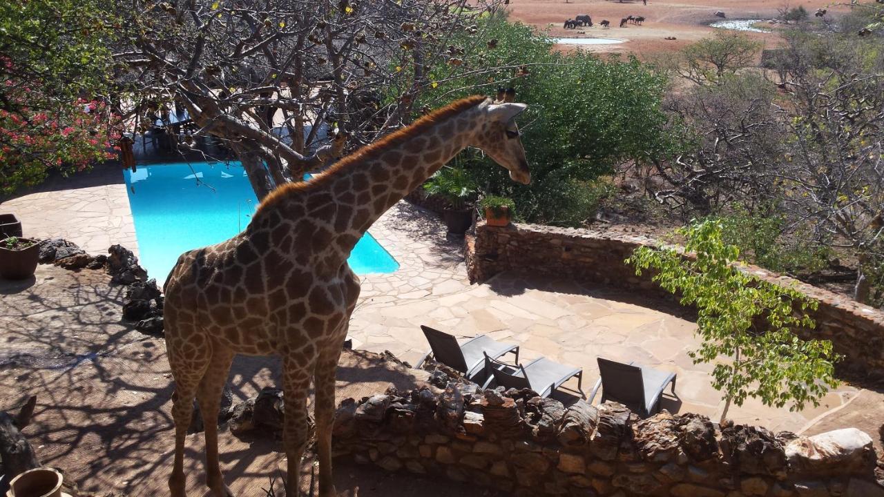 Okutala Etosha Lodge Outjo Dış mekan fotoğraf