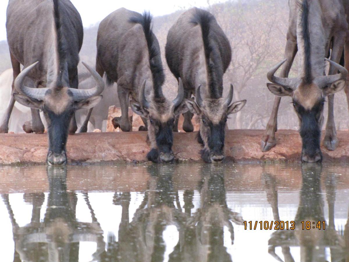 Okutala Etosha Lodge Outjo Dış mekan fotoğraf