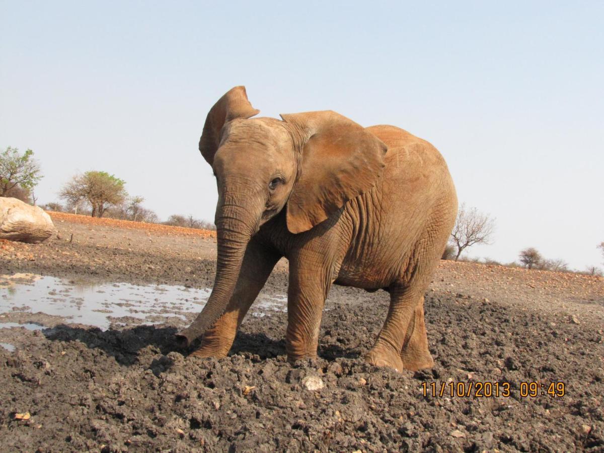 Okutala Etosha Lodge Outjo Dış mekan fotoğraf