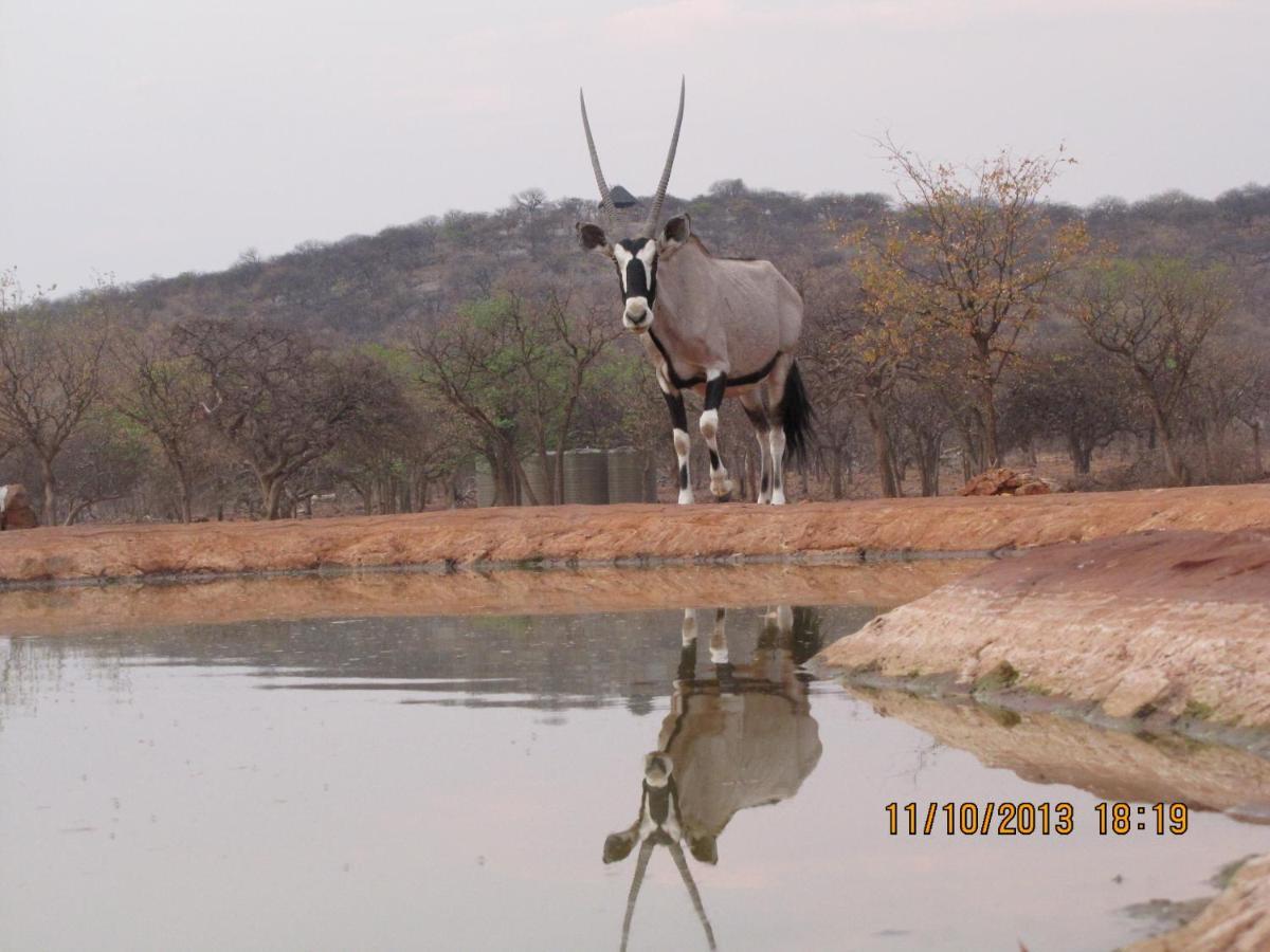 Okutala Etosha Lodge Outjo Dış mekan fotoğraf
